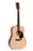 Ditson Guitars 10 Series D-10
