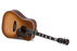 Sigma Guitars SG Series Hummingbird DM-SG5 Pickup