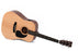 Sigma Guitars SE Series DME Pickup