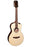 Faith Guitars HiGloss Series - Mercury Pickup