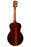 Faith Guitars HiGloss Series - Mercury Pickup