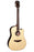 Faith Guitars HiGloss Series - Saturn Pickup