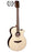Faith Guitars HiGloss Series - Venus Pickup