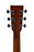 Ditson Guitars 10 Series GC-10E Pickup