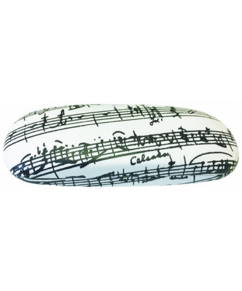 Music Themed Glasses Case