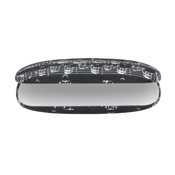 Music Themed Glasses Case