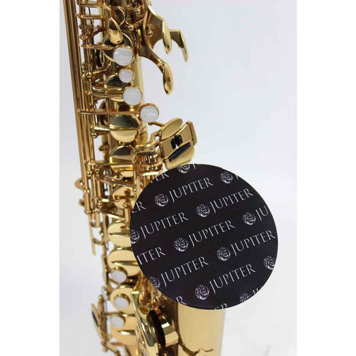Brass and Woodwind Instrument Mask
