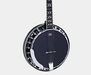 Ortega Raven Series 5 String Banjo 650SBK