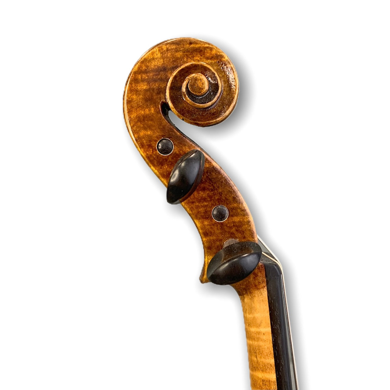 Orion OVL1100 4/4 size Violin Outfit