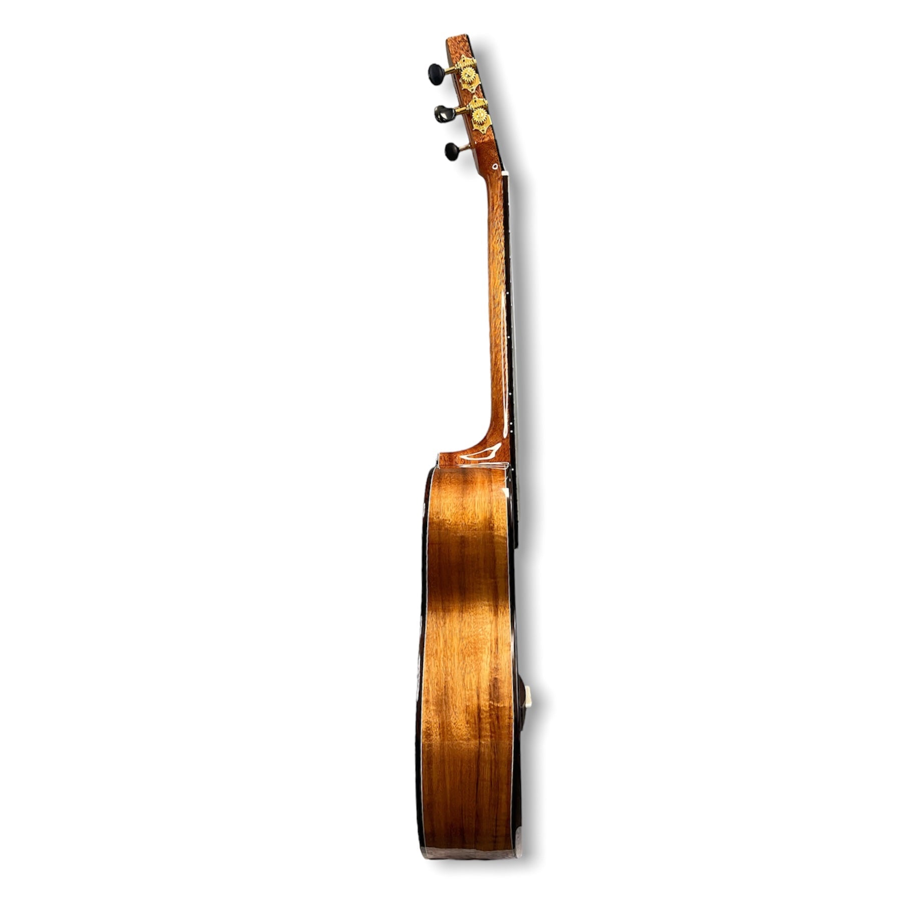 ORION Concert Ukulele 'Bellatrix' Solid Acacia