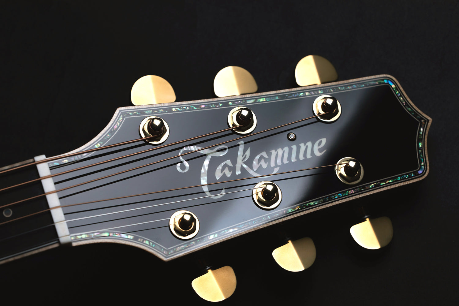 Takamine Limited Edition Series The 60th Anniversary Model Guitar Pickup *TKM