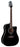Takamine Legacy Series Dreadnought Acoustic Guitar Pickup - Black Gloss