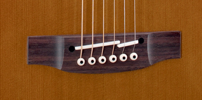 Takamine Legacy Series Orchestral Acoustic Guitar Pickup - Palm Tree