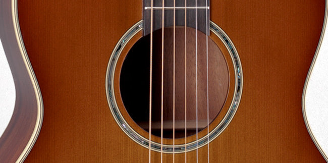 Takamine Legacy Series Orchestral Acoustic Guitar Pickup - Palm Tree