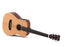 Sigma Guitars Travel Series TM-12E Pickup