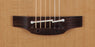 Takamine Pro 3 Dreadnought Acoustic Guitar Pickup