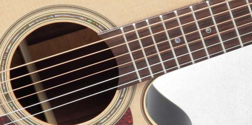 Takamine PRO 5 Acoustic Guitar NEX Pickup