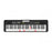 Casio LKS250 61 Lighting Keyboard