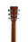 Sigma Guitars SE Series DTCE Pickup
