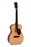 Sigma Guitar Standard Series 000M-18