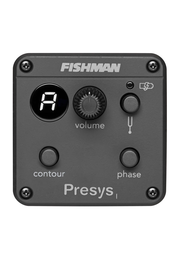 Sigma Guitars Travel Series TM-15E Pickup