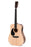Sigma Guitars SE Series Left Hand DMEL Pickup