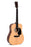 Sigma Guitars ST Series DM-ST