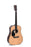 Sigma Guitars 1 Series DM-1L Left Handed
