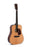 Sigma Guitar Standard Series Solid SDM-18