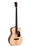 Sigma Guitars Acoustic Bass BME Pickup