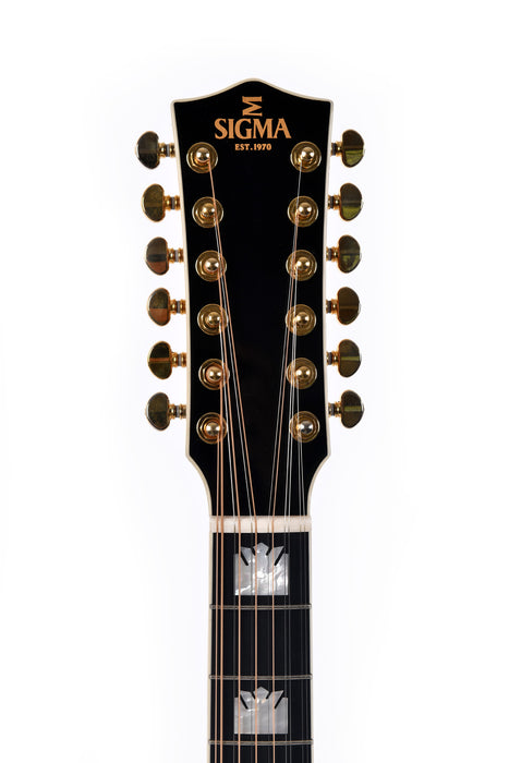 Sigma Guitars SG Series 12 String GJA12-SG200 Pickup