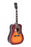 Sigma Guitars SG Series Solid SDM-SG5 Pickup