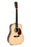 Sigma Acoustic Guitar 50th Anniversary Dreadnought