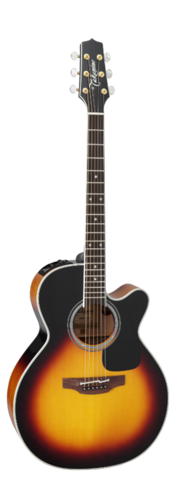 Takamine PRO 6 Acoustic Guitar NEX Pickup