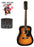 Redding 12 String Acoustic Guitar Pickup