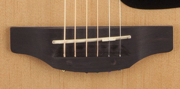 Takamine G10 Acoustic Guitar Pickup