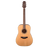 Takamine G20 Acoustic Guitar Pickup