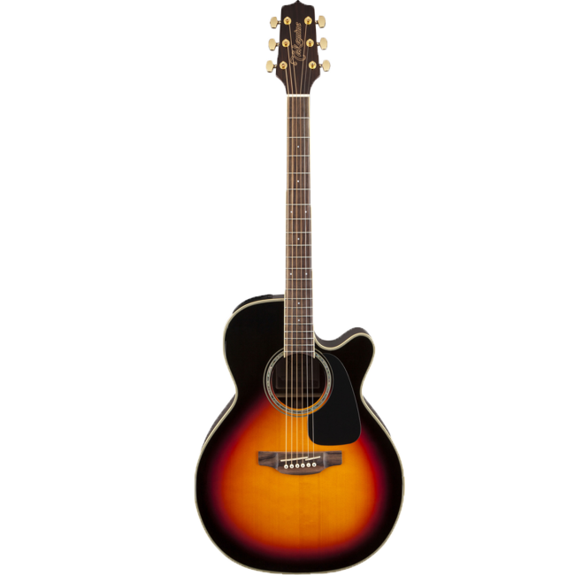 Takamine G50 Acoustic Guitar NEX Pickup