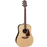 Takamine G90 Acoustic Guitar Dreadnought