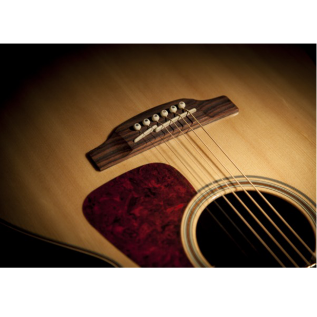 Takamine G90 Acoustic Guitar NEX Left-Hand Pickup