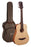 Faith Guitars Nomad Series - Mini Saturn Pickup